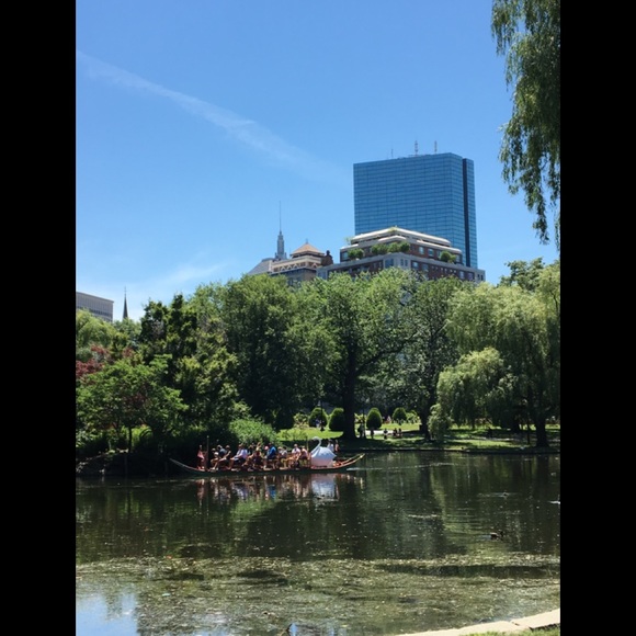 Meet your Posher, Posh - Picture 5 of 8